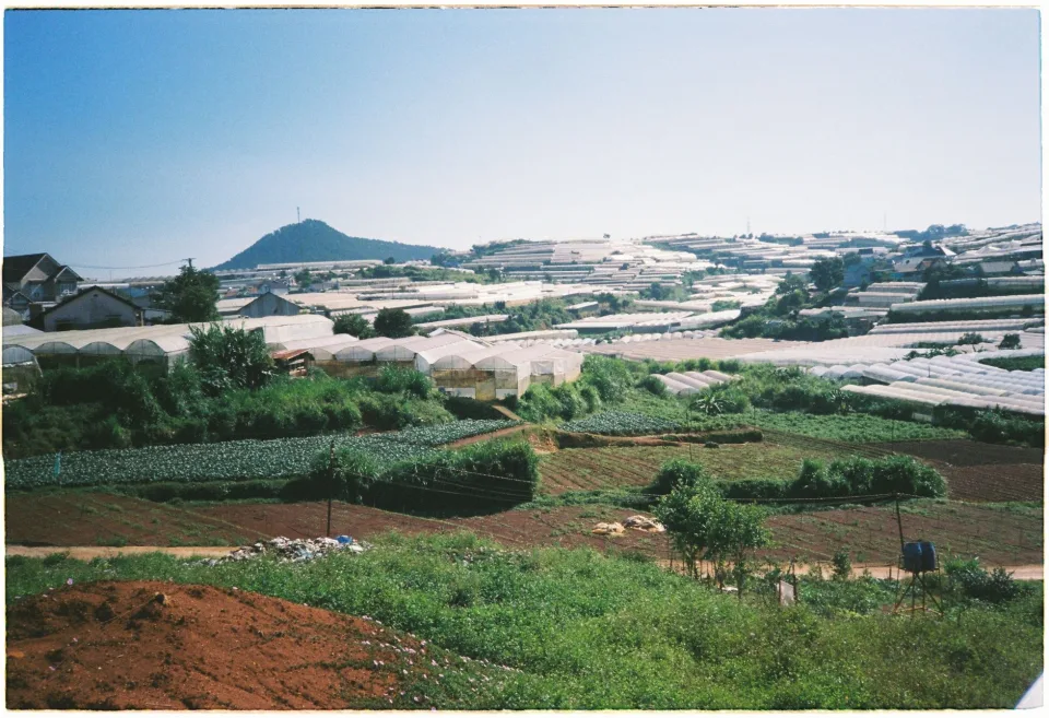 Nông sản nên thử