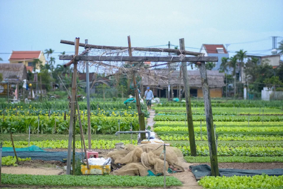 Nông sản nên thử